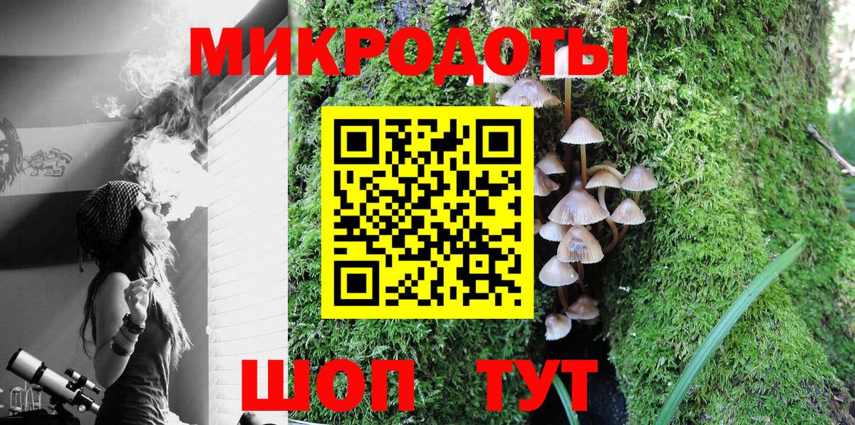 Галлюциногенные грибы прущие грибы Славянск-на-Кубани
