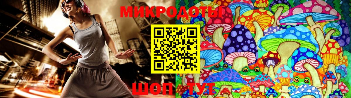 Галлюциногенные грибы Psilocybe  что такое   Славянск-на-Кубани  Вход с VPN 